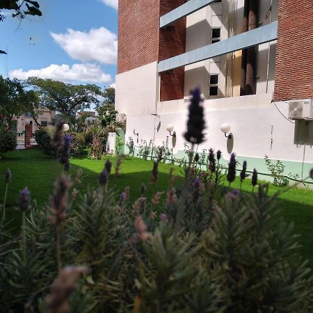 Quintana Hotel Сан-Луїс Екстер'єр фото